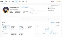 tiktok短视频带货,TikTok助力电商新纪元